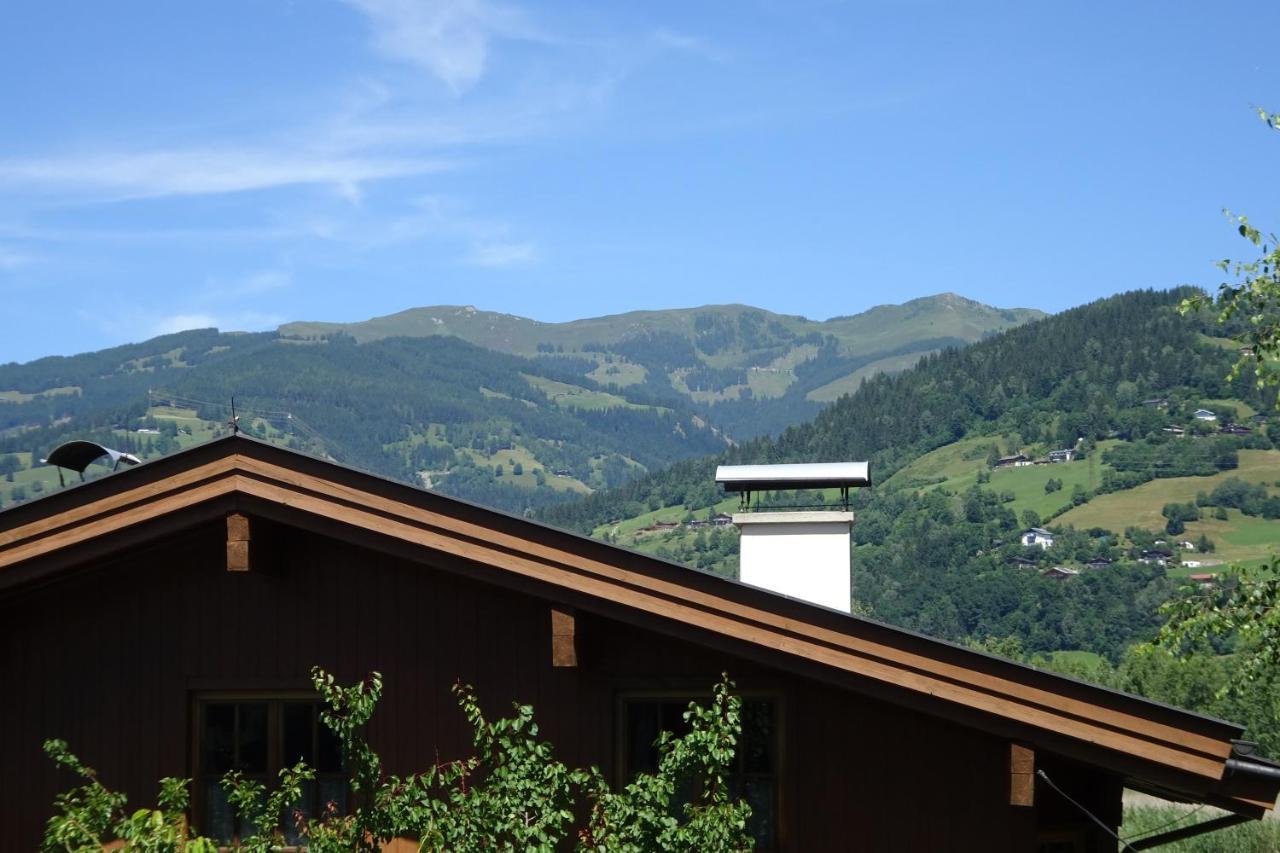 Ferienwohnung Appartement Am Schilf Xl Zell am See Exterior photo